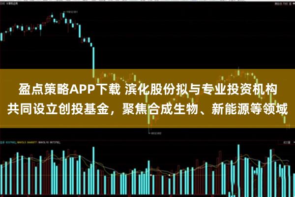 盈点策略APP下载 滨化股份拟与专业投资机构共同设立创投基金，聚焦合成生物、新能源等领域