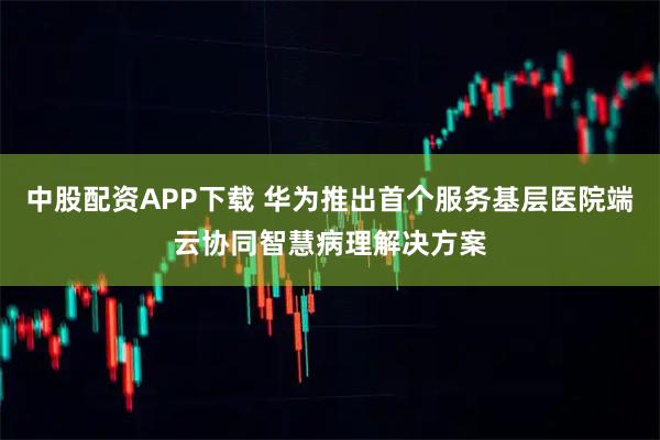 中股配资APP下载 华为推出首个服务基层医院端云协同智慧病理解决方案