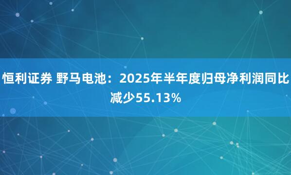 恒利证券 野马电池：2025年半年度归母净利润同比减少55.13%