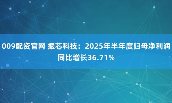 009配资官网 振芯科技：2025年半年度归母净利润同比增长36.71%